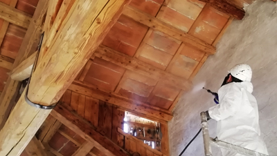 come distinguere tarli e tarme