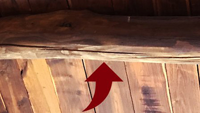 Trave infestata da tarli