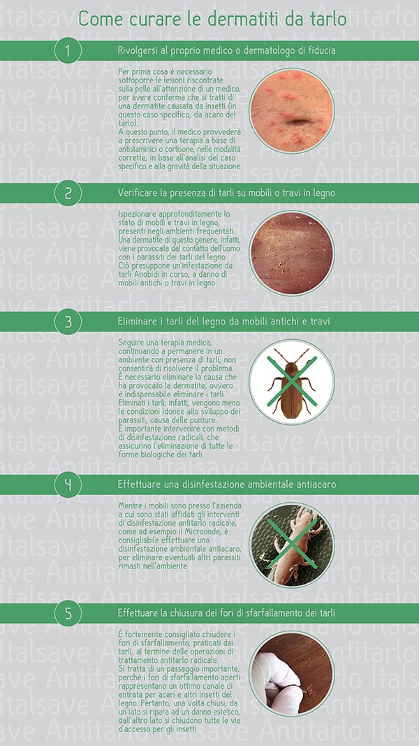 Punture da parassiti dei tarli: curare e prevenire le dermatiti da tarli