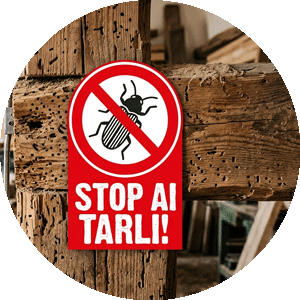 Stop ai tarli
