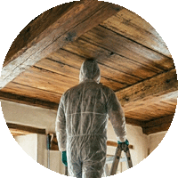 trattamento antitarlo professionale