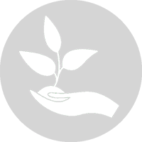 icona antitarlo ecologico