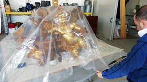 Allestimento bolla anossica statue Allestimento bolla anossica statue