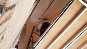 Allestimento camera termica