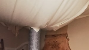 Antitarlo con calore su travi e travetti in abete