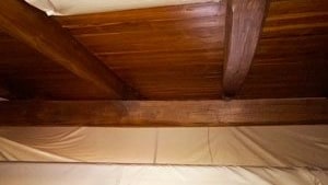 Trattamento antitarlo Calore PROtection in corso