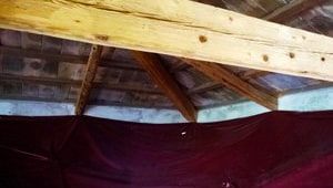 Trattamento antitarlo Calore PROtection