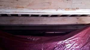 Antitarlo travi seconda villa in corso Antitarlo travi in corso