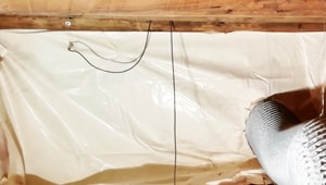 Trattamento antitarlo in corso Trattamento antitarlo in corso