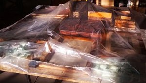 Bolla anossica con libri e quadri