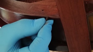 Chiusura fori di sfarfallamento in corso