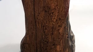 Danni da tarli su icona Danni da tarli su icona