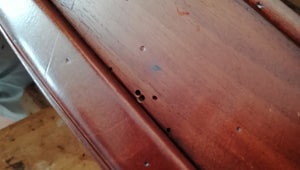 Fori rinvenuti sui mobili