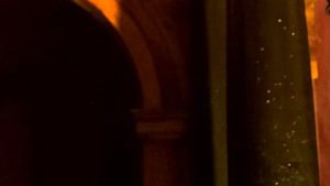 Fori di sfarfallamento tarli Fori di sfarfallamento tarli