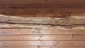 Fori di sfarfallamento su tetto