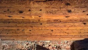 Fori di sfarfallamento di tarli su travi