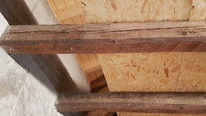 Fori di tarlo su travi Fori su travi