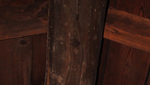 Fori di tarlo su travi Fori di tarlo su travi