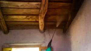 Applicazione di impregnante protettivo su travi Impregnante protettivo su travi