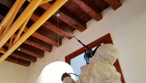 Protezione antitarlo su solaio Protezione antitarlo su solaio