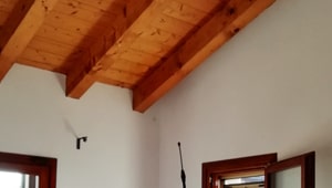 Trattamento protettivo del soffitto Protezione antitarlo soffitto