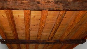 Fori di sfarfallamento sulle travi