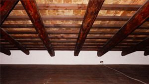 Rosume sul pavimento