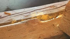 Depositi di rosume da tarli sulle travi