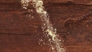 Sbavatura di rosume prodotto dal tarlo