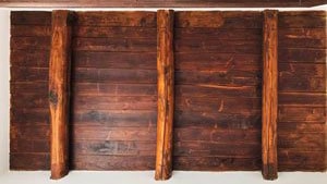 Tetto infestato dai tarli