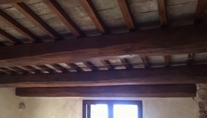 Tetto ligneo infestato da tarli capricorni